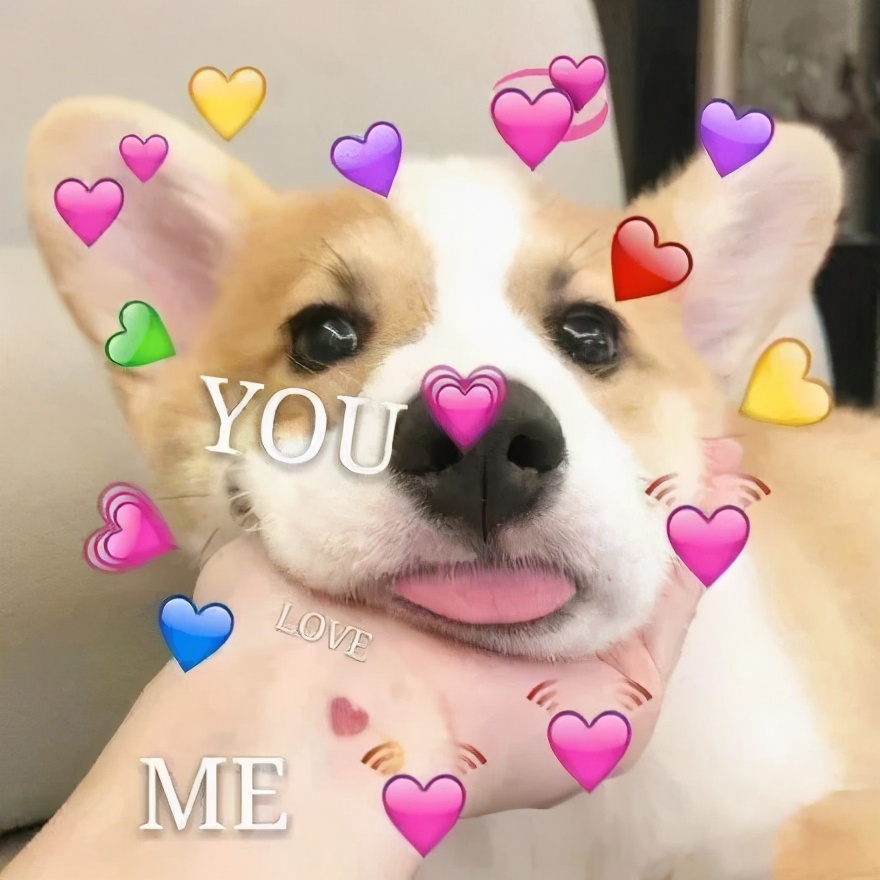 一些可爱又撩人的小句子2.0