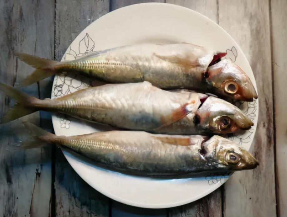 图片[2]-香煎巴浪鱼的做法步骤图 生营养丰富肉鲜嫩-起舞食谱网