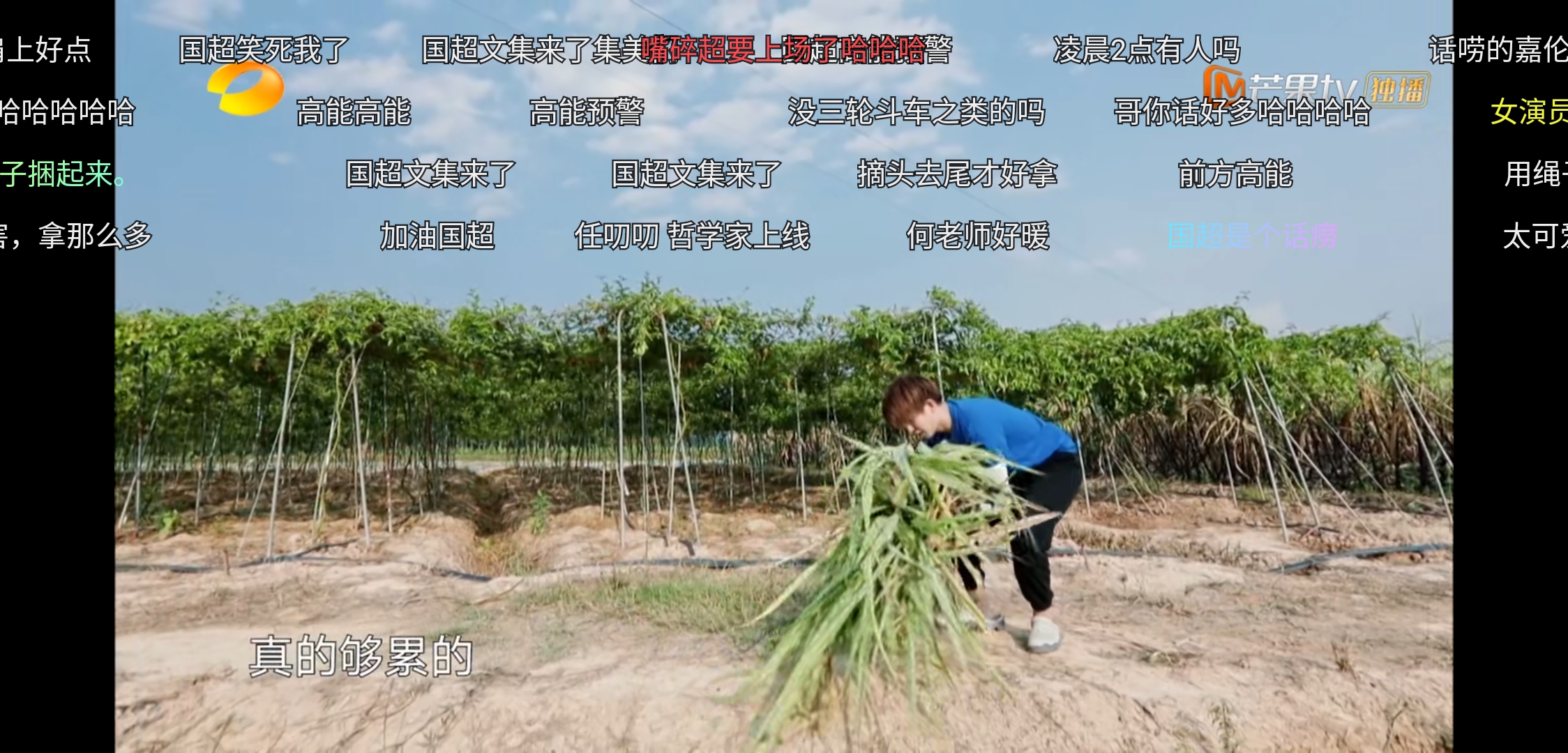 任嘉伦对谭松韵就是不一样，《向往的生活》偷