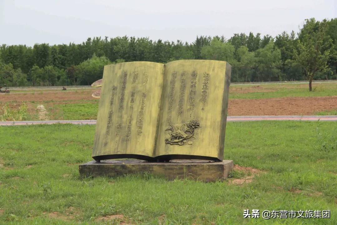 花仙谷中草药园景观全新升级！中医药研学新亮点