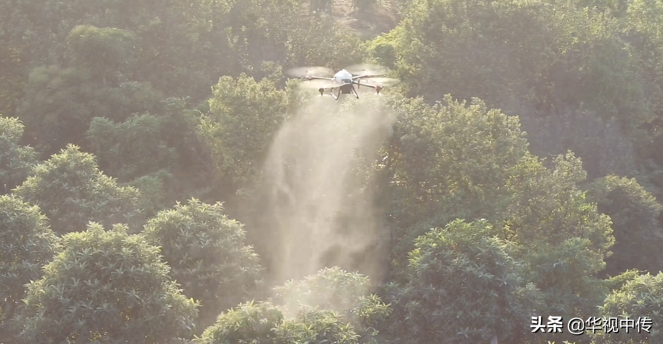 中国农业科技公司XAG获得75万美元用于无人机飞行