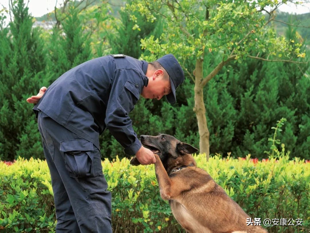 安康警察风采 09期