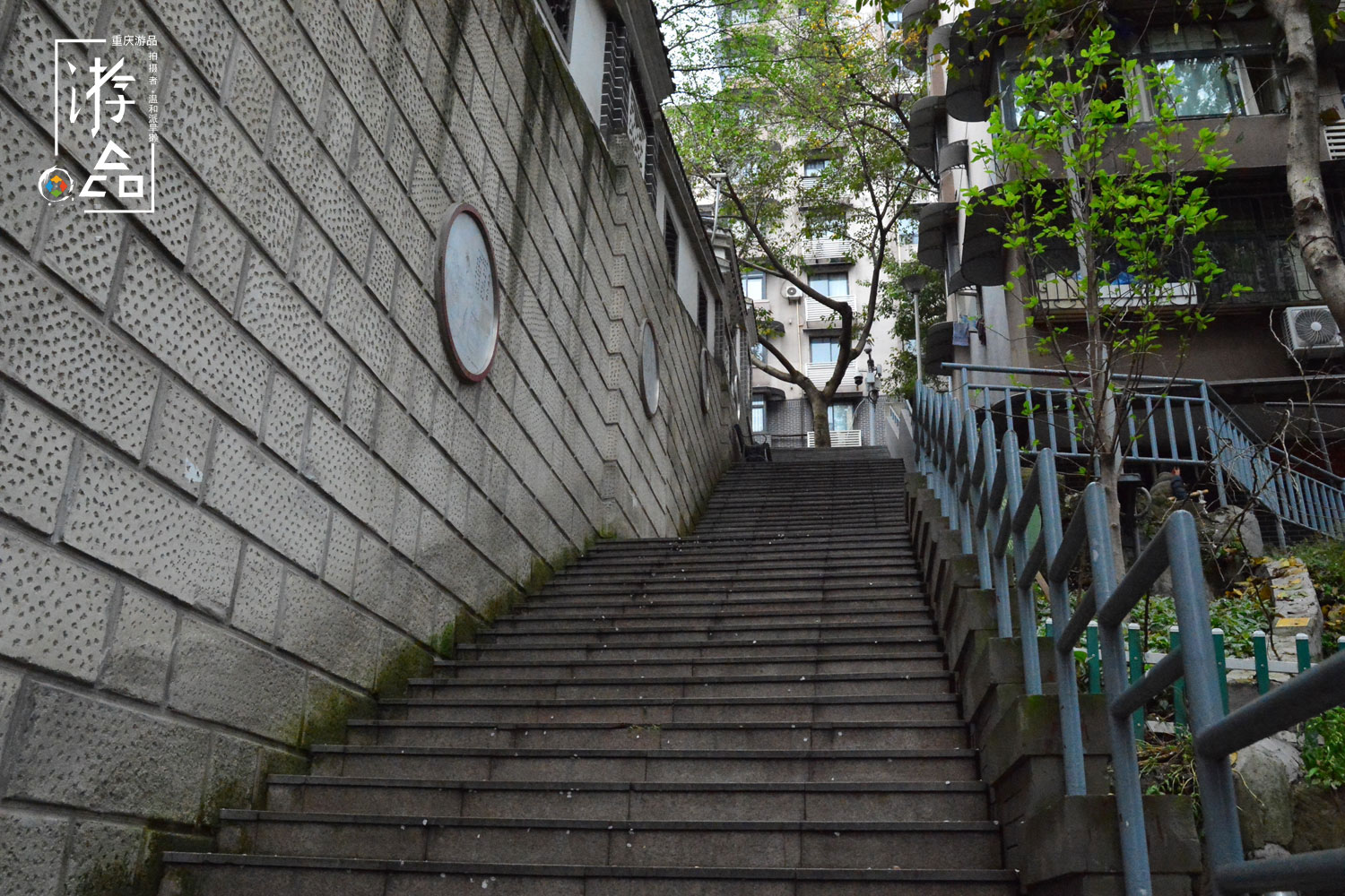 5分钟！我从重庆大礼堂跑到中山四路，梯坎越陡越省时