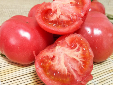图片[2]-西红柿酱的做法步骤图 放一年不坏-起舞食谱网