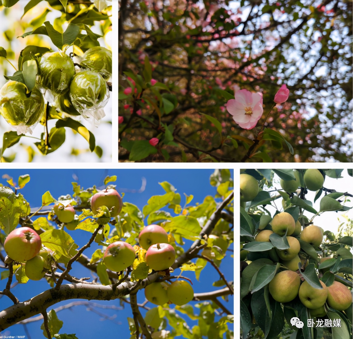 �׽����������Ļ����ν����湥�ԡ�½Ӫ��