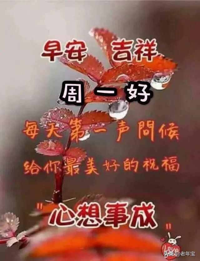 最新周一早上好表情图 周一早安暖心问候图片图片