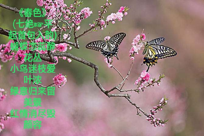 写给春天的情诗！-第11张图片-非凡网