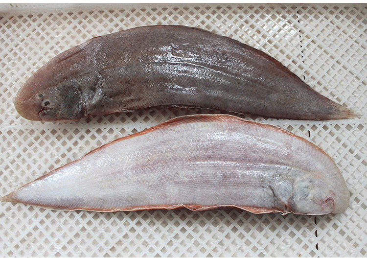 有激素 这种巴沙鱼测出激素药物残留 还被追捧当宝宝辅食 育学园 Mdeditor