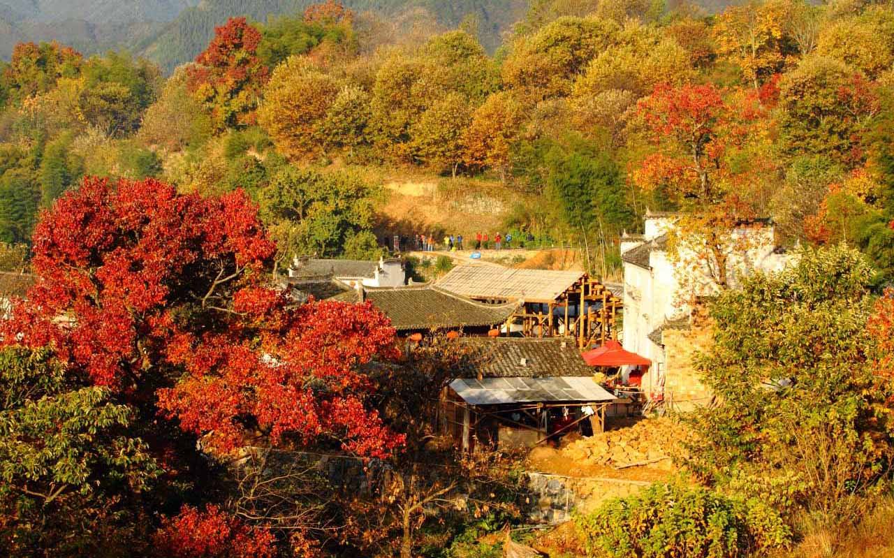 大美中国开启秋日幸福游，这些最适合赏枫叶的地方，你去过几个？