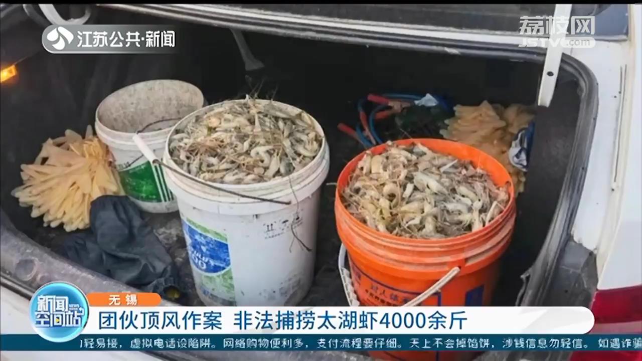 退捕渔民深夜顶风作案 非法捕捞太湖虾4000余斤