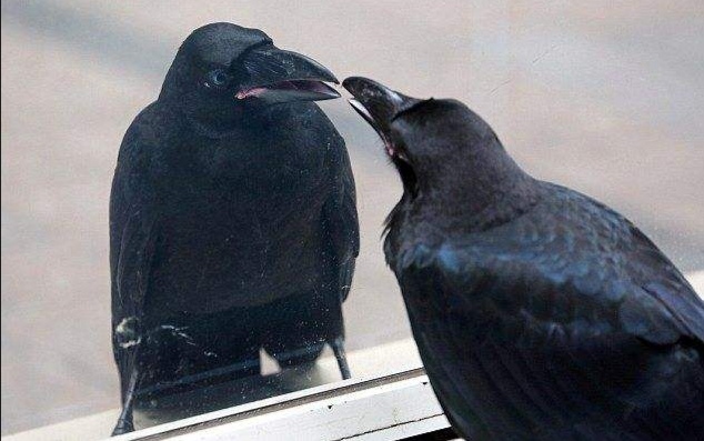 奥特曼要来了？日本成立宇宙作战队，战斗目标