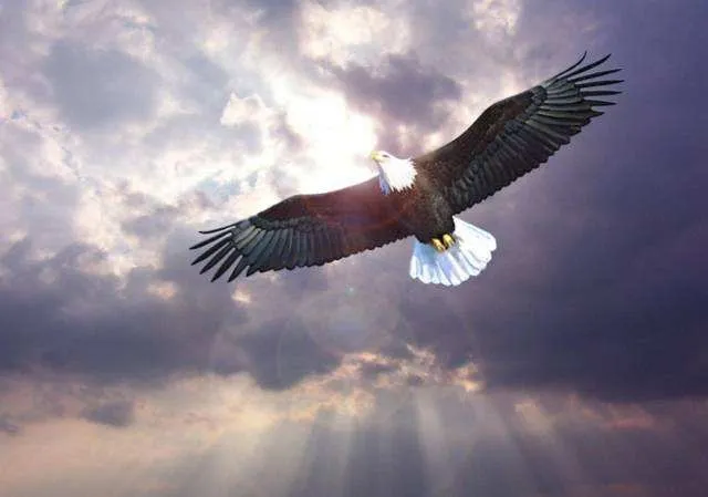 “地球上有鸟飞不到的地方，但没有温州人到不