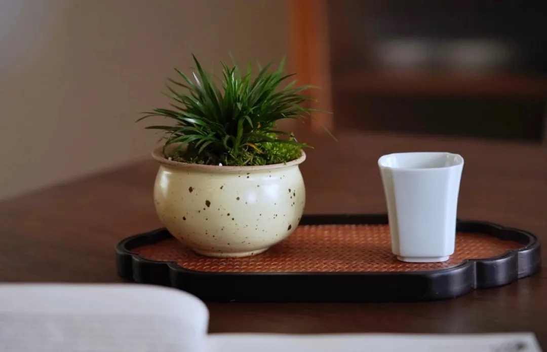 功夫茶十三式,真实中国茶道全流程