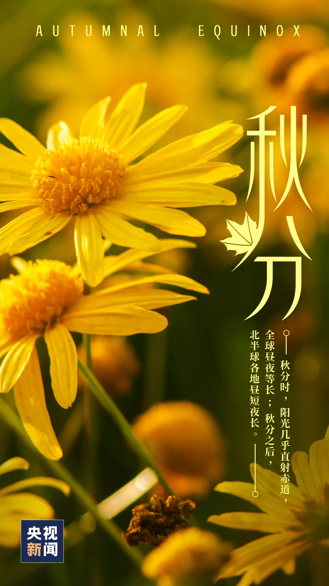 ⷨԷ