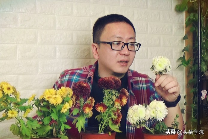 33岁辞职找到人生新方向，抖音上674万粉丝看他种花