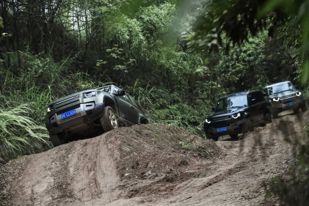 舒适度和越野性两不误，这款英国越野车换代之后受到热捧