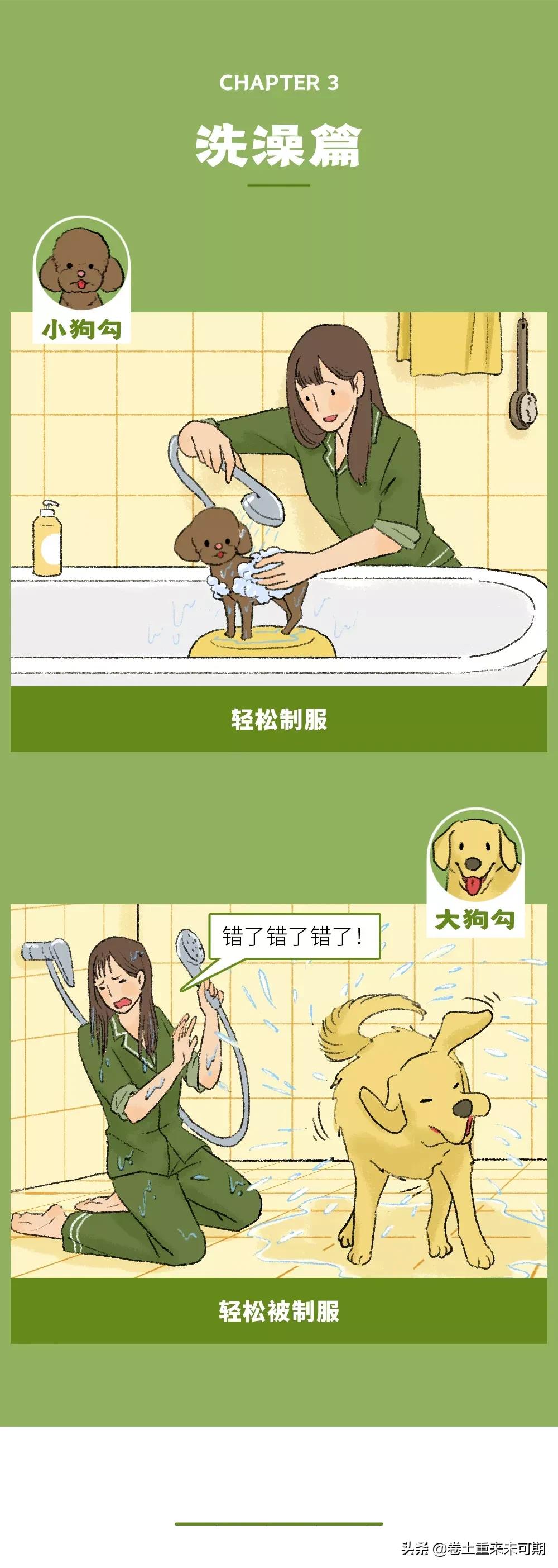 漫画：女生养大狗，对男朋友有什么坏处？