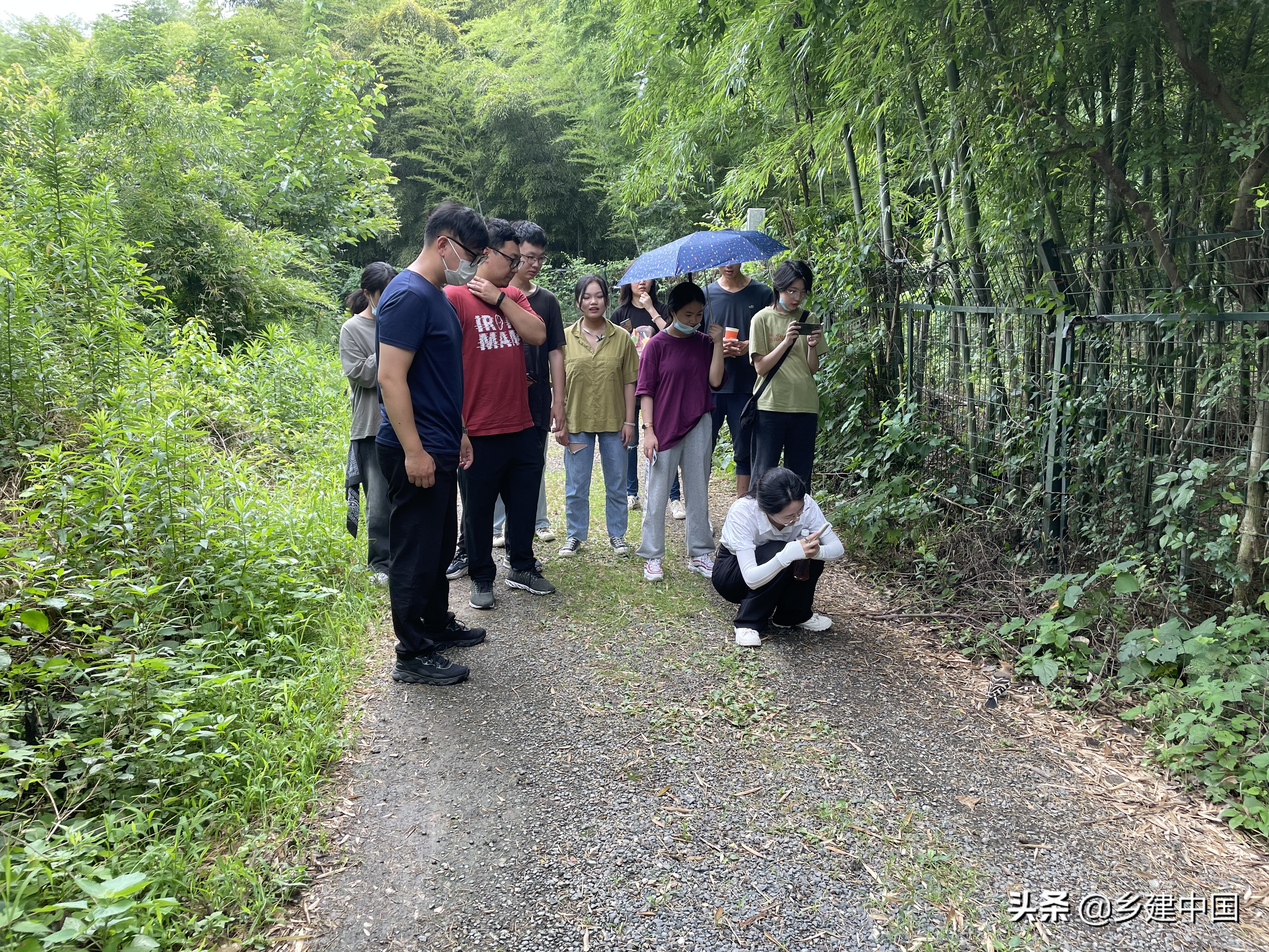 江阴市003号民宿——朝阳山庄：定山竹海里的康美基地
