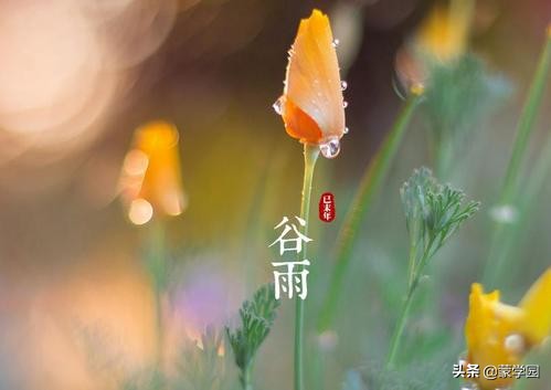 48首唐诗宋词带你赏遍四季-第5张图片-非凡网