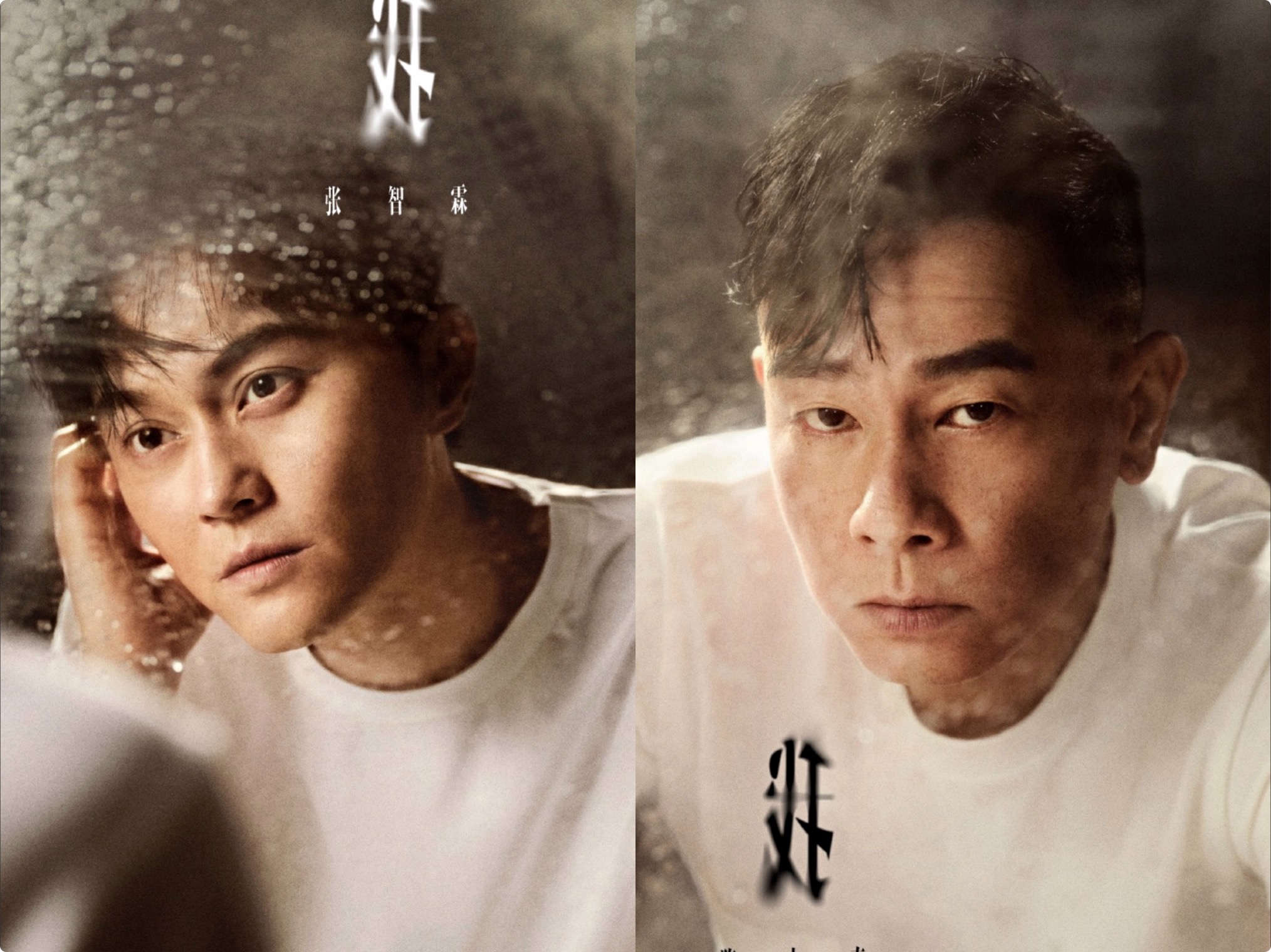 袁咏仪因张智霖生日抱陈小春吃醋，应采儿给两人p图换脸无违和感