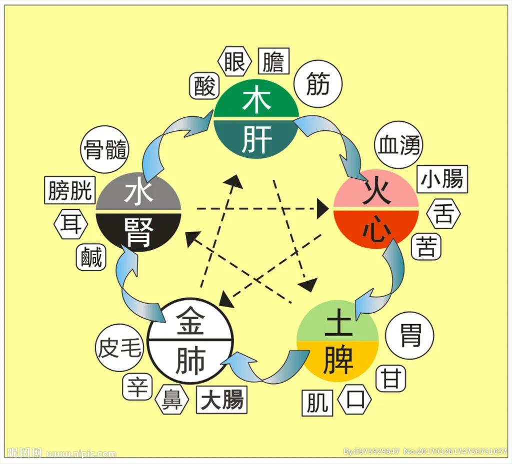 五脏调理很关键，如何养心最重要-第1张图片-农百科