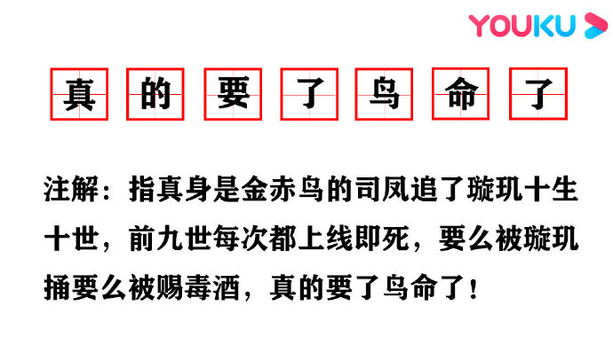 金翅鸟|《琉璃》痴情“金翅鸟”禹司凤十赌九输！你这个爱情的赌徒 真的要了鸟命了