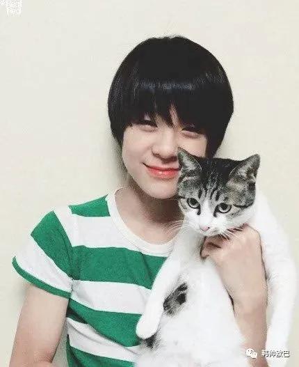 炫耀猫咪的这位男团爱豆 明明对毛过敏却收养了三只流浪猫51韩团 韩国娱乐 韩国女团 韩国男团
