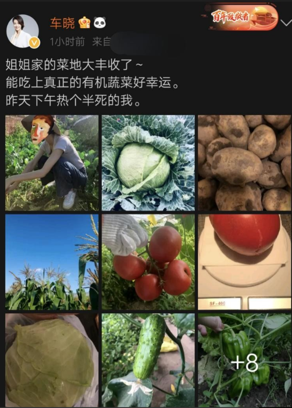 星二代车晓，当年与汪涵分手后，嫁给富商李兆会，红娘竟是成龙