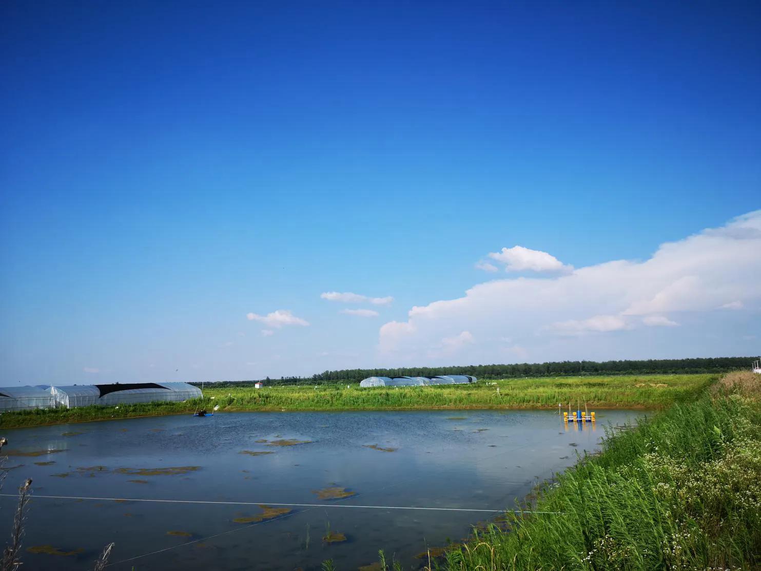 武汉知音故里（蔡甸)着力打造生态水产品金字招牌“品原生”