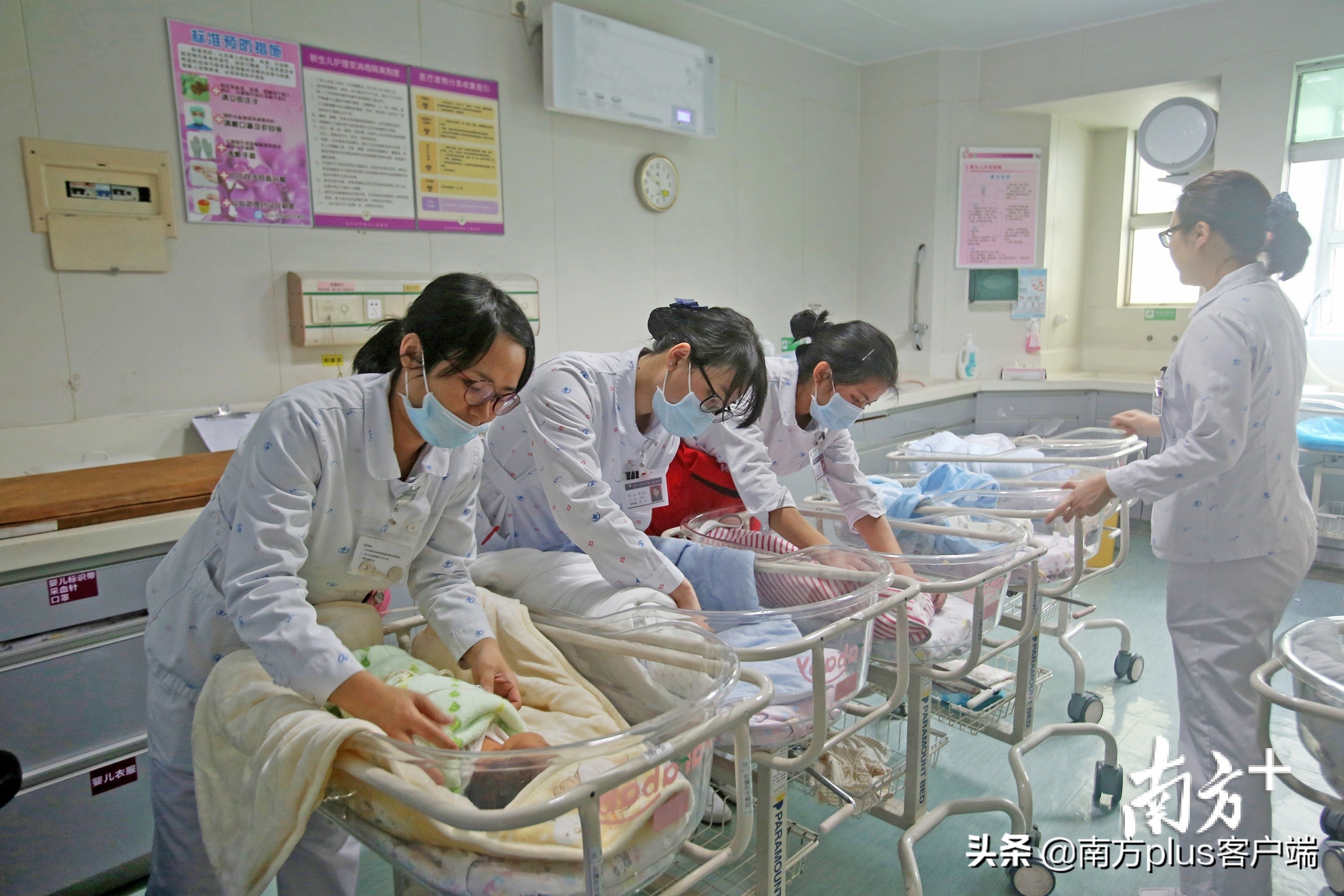 The college is graduate this year 9.09 million innovation is tall, come " those who fight consenescence " does Guangdong spell how? 