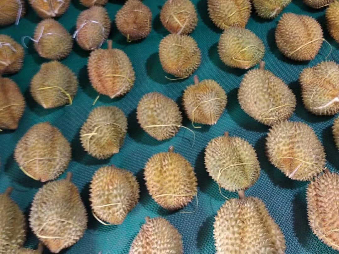 立秋来临，市场上5种食材，别贪便宜买来吃，宁可少吃或干脆不吃