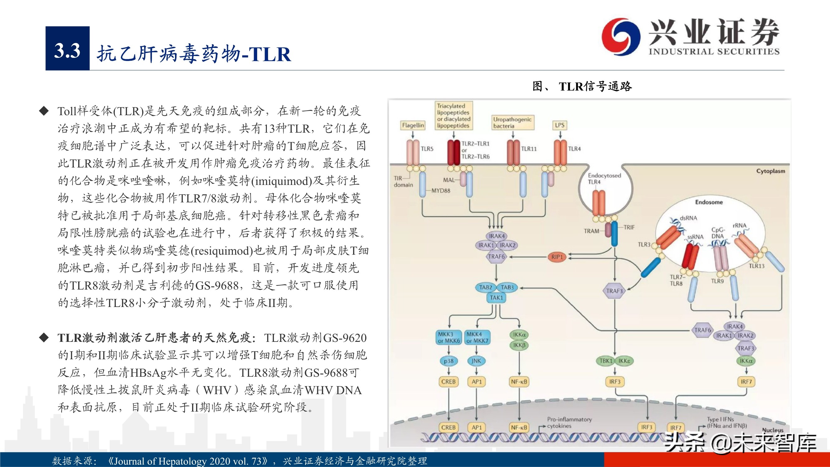 抗病毒药物150页深度报告：新冠映射下的价值洼地