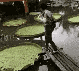 搞笑GIF趣图：产生猥琐想法的，请检讨自己
