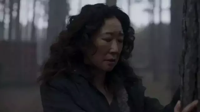 举世哗然的《杀死伊芙2.4》,究竟讲了什么?