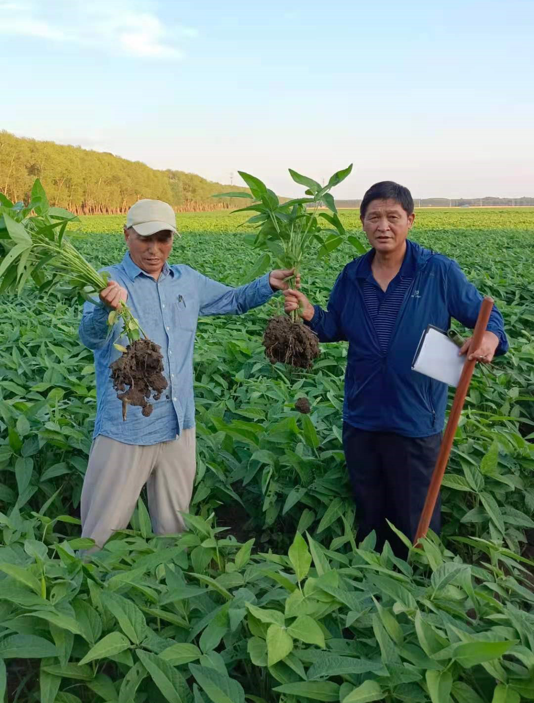 搞農(nóng)業(yè)種植，一定要學(xué)會向科學(xué)技術(shù)要產(chǎn)量
