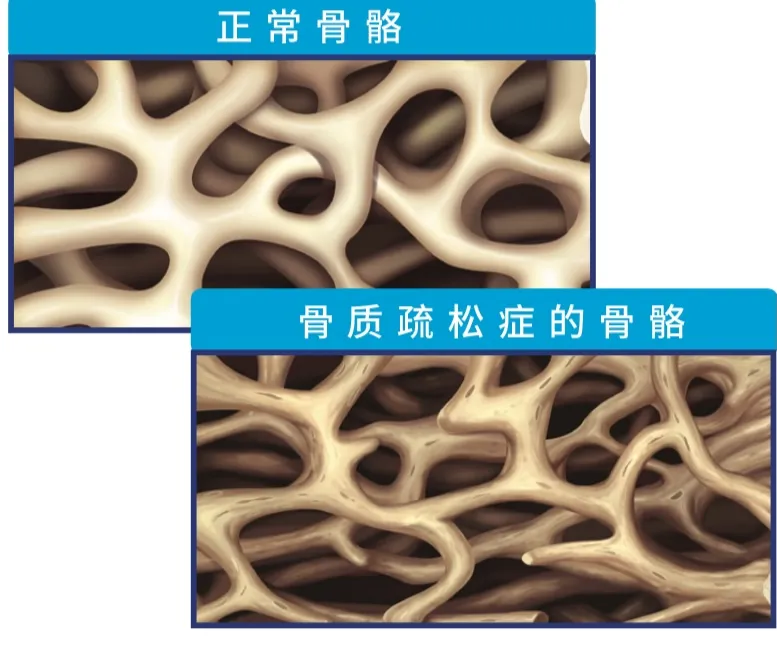 樂健康