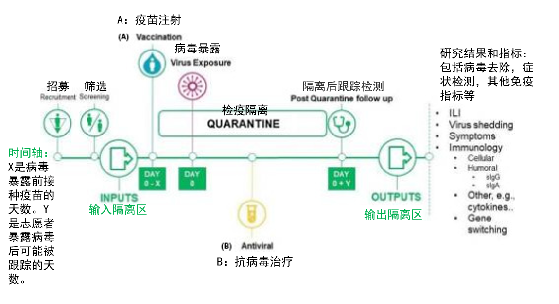 英國要做新冠病毒的人體試驗？先別急著罵，看完再……