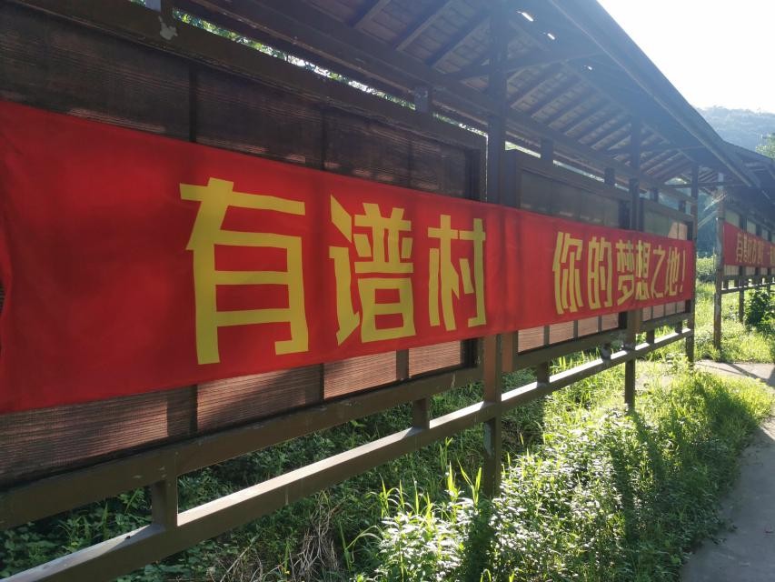 音樂節目也要野外求生？B站有譜村真的靠譜嗎
