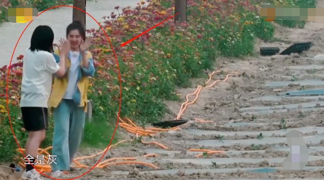 继谭松韵后，张子枫再遇知心大姐姐，两人互动