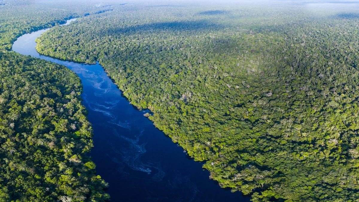 东南亚地区发现9米巨蟒，世界上最大的蛇有多长？人被吞下怎么办