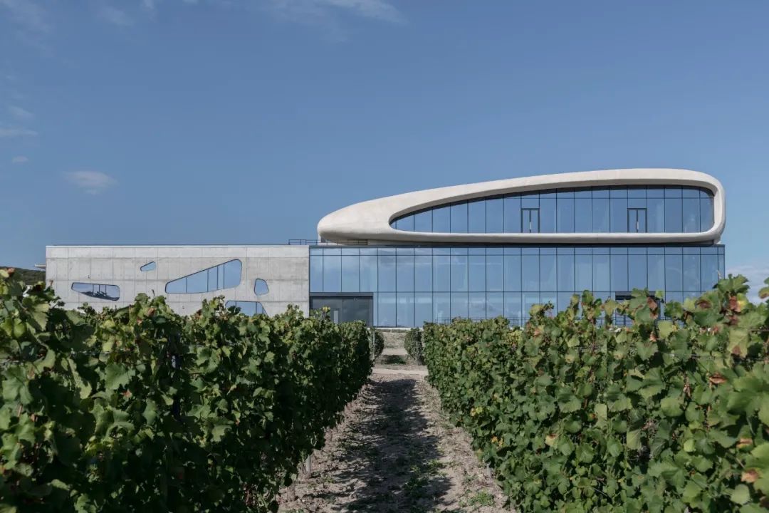 罗丘赛兹：一个由鹅卵石雕刻而成的俄罗斯酒庄