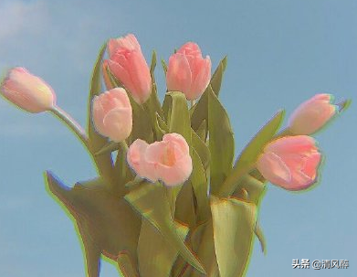 抖音点赞加粉霸气句子 最吸引人必评论的说说图片