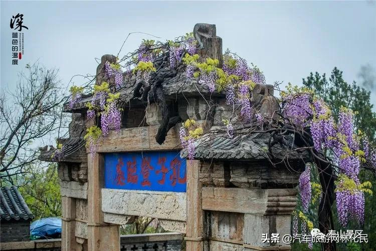 「泰安」中华泰山（含上乘观光车）一日游