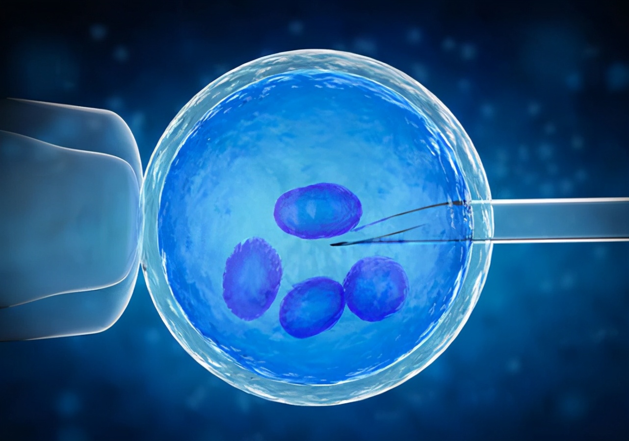 全球首個“人猴雜交”胚胎出世，存活近20天，我們要為此擔憂嗎？