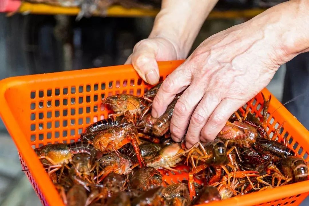2020年夏天最爱小龙虾盘点！这5家吃完就想嗦指头
