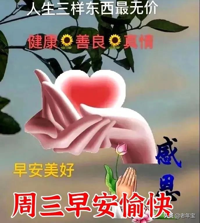 最新周三早上好表情图片  周三早上好问候语图片图片