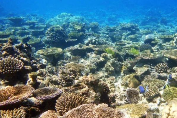 中国3000亿填海工程被喊停！女博士突想妙计，变