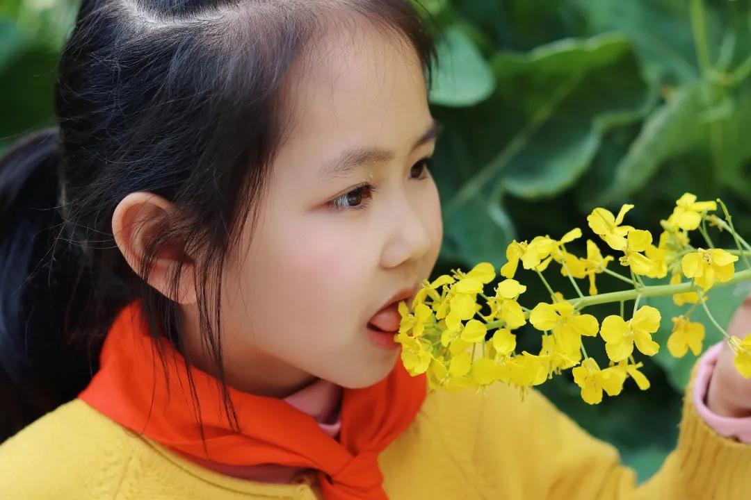 带上五官到校园里寻找春天——成都市华中附小大自然的语文课