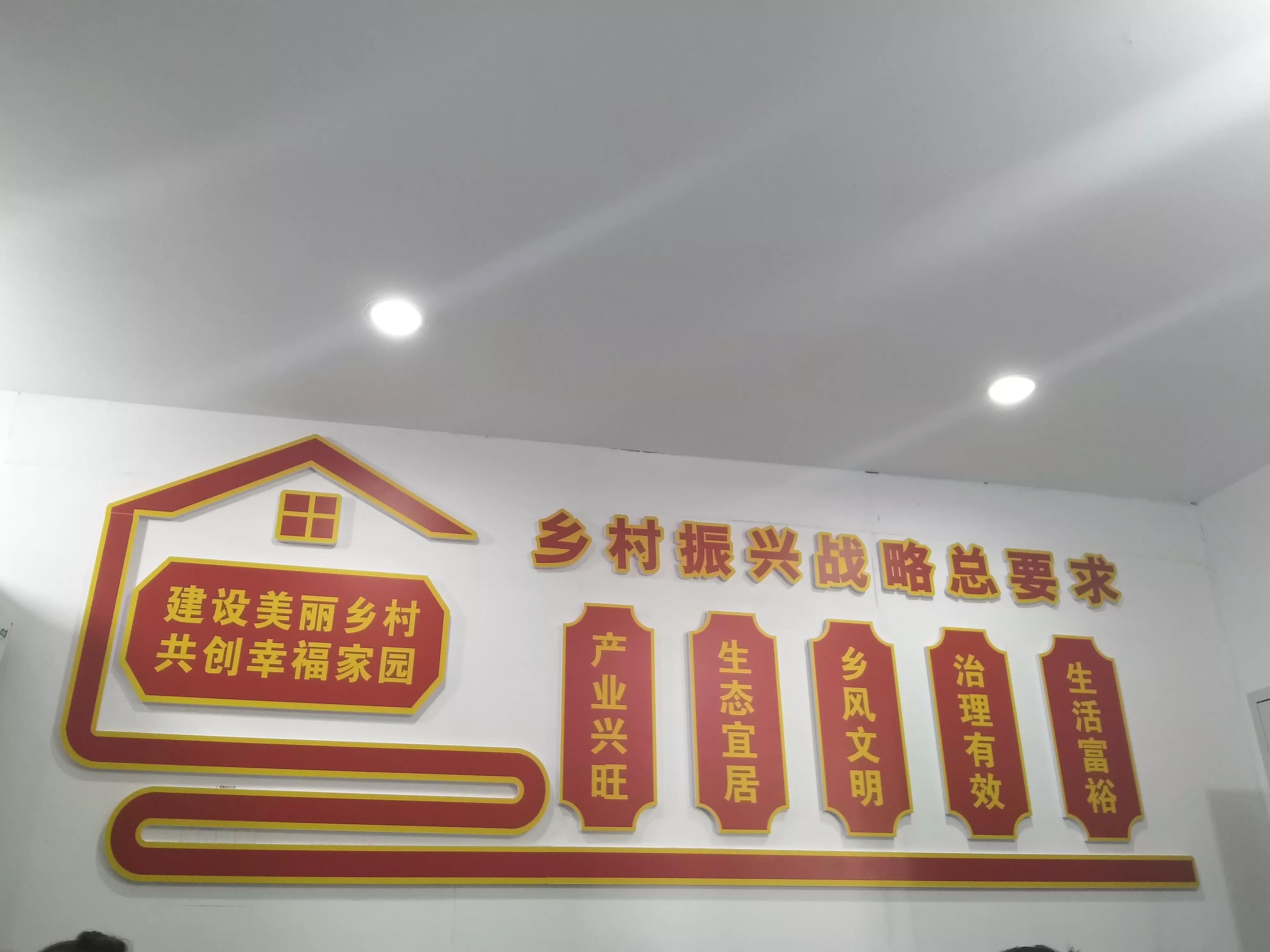 桥市镇柴湖村：化蛹为蝶不寻常