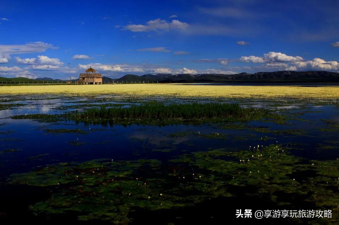 天气入夏酷热难当，全国最值得打卡的避暑地盘点。收藏这篇不迷路
